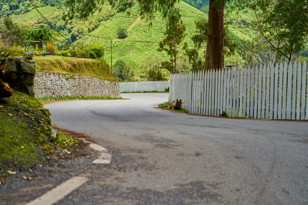 Signs You Need to Upgrade Your Driveway